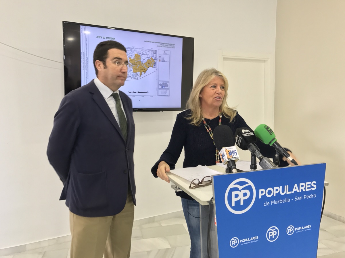 El PP denuncia que la Junta excluye a Marbella de la orden para la limpieza de arroyos por el temporal y se pregunta si el tripartito tramitó la petición